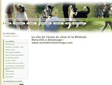Tablet Screenshot of ecole-de-chiot.fr